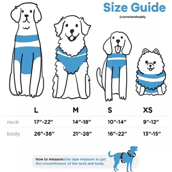 Come Here Buddy Pet Harness- XS - Picture 3 of 3